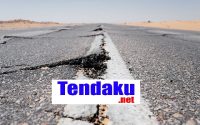 Gempa Magnitudo 7,3 Dekat Tonga Sempat Picu Peringatan Tsunami